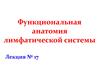 Функциональная анатомия лимфатической системы. Лекция № 17