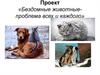 Проект «Бездомные животные - проблема всех и каждого»