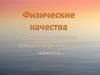 Физические качества. Основные правила развития физических качеств