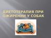 Диетотерапия при ожирении у собак