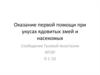 Оказание первой помощи при укусах ядовитых змей и насекомых