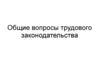 Общие вопросы трудового законодательства
