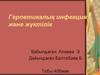 Герпетикалық инфекция және жүктілік
