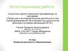 Аттестационная работа. Внеурочная деятельность «Мультипликация»