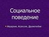 Социальное поведение