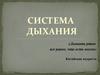 Система дыхания