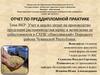 Учет и анализ затрат на производство продукции растениеводства (зерна) и исчисление ее себестоимости в СХПК «Никулинский»