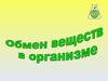 Обмен веществ в организме человека