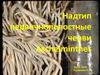 Надтип Первичнополостные черви Aschelminthes