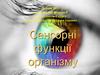 Сенсорні функції організму