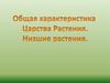 Общая Характеристика Царства растения. Низшие растения