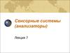 Физиология человека. Сенсорные системы, анализаторы. (Лекция 7)