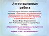 Аттестационная работа. Образовательная программа внеурочной деятельности. Кружок «Мы - исследователи»