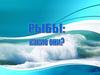 Виды рыб