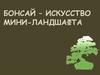 Бонсай – искусство мини-ландшафта