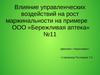 Влияние управленческих воздействий на рост маржинальности на примере ООО «Бережливая аптека»