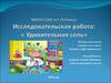 Исследовательская работа. Удивительная соль