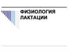 Физиология лактации