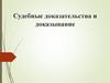 Судебные доказательства и доказывание
