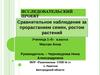 Сравнительное наблюдение за прорастанием семян, ростом растений