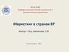 Маркетинг в странах ЕР. Маркетинговые исследования