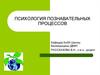 Психология познавательных процессов