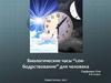 Биологические часы “сон-бодрствование” для человека
