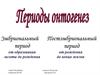 Периоды онтогенез