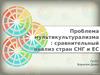 Проблема мультикультурализма : сравнительный анализ стран СНГ и ЕС