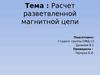 Тема: Расчет разветвленной магнитной цепи
