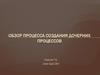 Обзор процесса создания дочерних процессов. Стандарт ISO