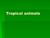 Tropical animals
