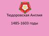 Тюдоровская Англия в 1485-1603 годы