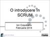 O introducere în SCRUM