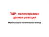ПЦР- полимеразная цепная реакция. Молекулярно-генетический метод