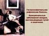 Гастроэзофагеальная рефлюксная болезнь. Функциональные заболеваний желудка, желчевыводящих путей и кишечника