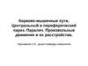 Корково-мышечные пути. Центральный и периферический парез. Паралич. Произвольные движения и их расстройства