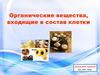 Органические вещества, входящие в состав клетки