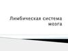 Лимбическая система мозга