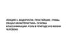 Водоросли. Простейшие. Грибы. Общая характеристика. Основы классификации. Роль в природе и в жизни человека. Лекция 3