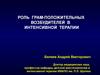 Роль грам-положительных возбудителей в интенсивной терапии