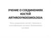 Учение о соединениях костей