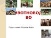 Виды животноводства