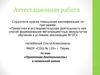 Аттестационная работа. «Проектная деятельность» в начальной школе