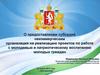 О предоставлении субсидий некоммерческим организация на реализацию проектов по работе с молодежью