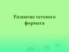 Развитие сетевого формата. Торговая сеть