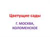 Фото. Цветущие сады. Коломенское