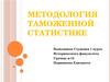 Методология таможенной статистики