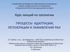 Процессы адаптации, регенерации и заживления ран