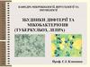 Збудники дифтерії та мікобактеріозів (туберкульоз, лепра)